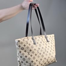 کیف دوقلو میس کیف